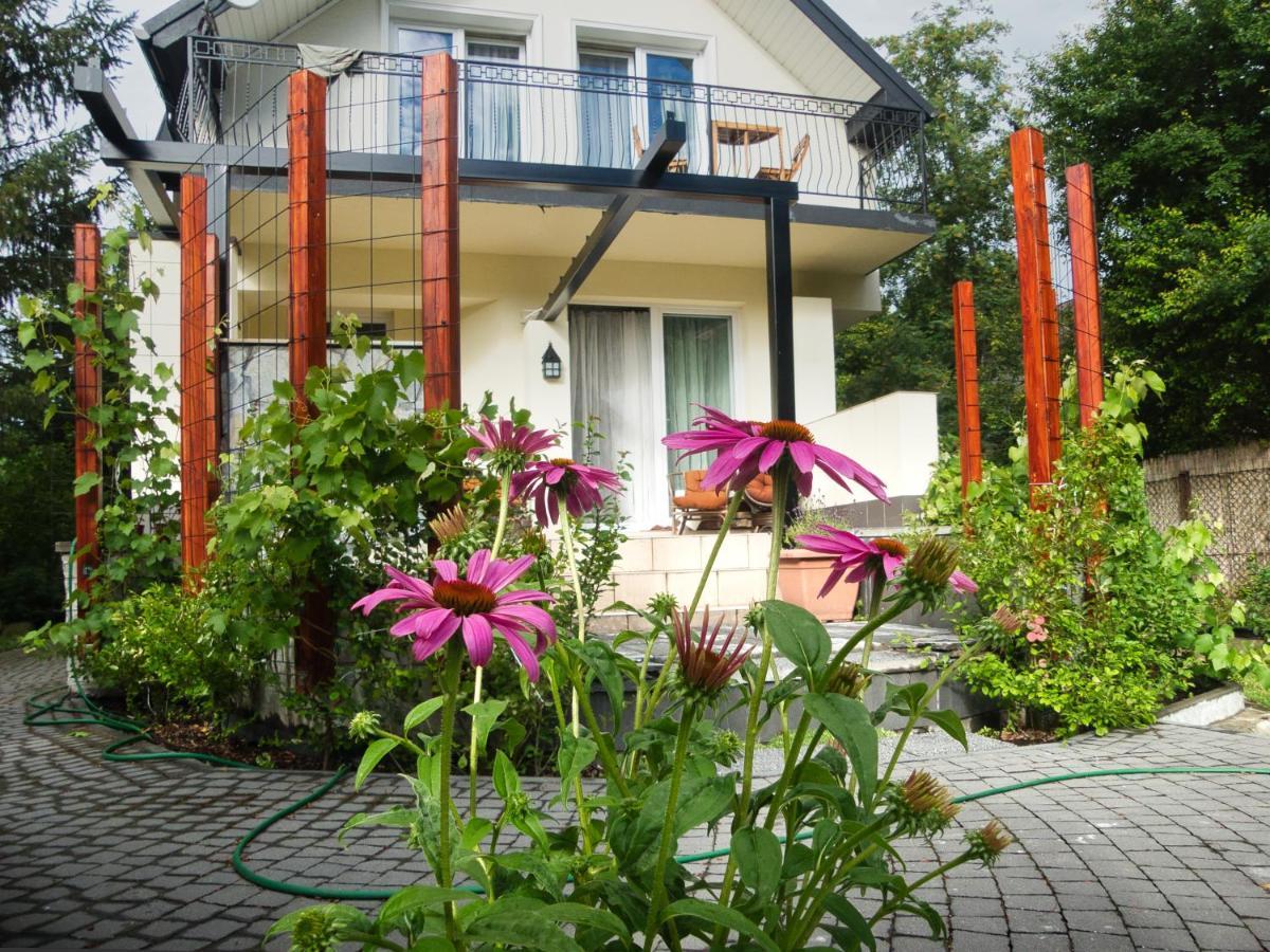 Villa Hasaba Krościenko Esterno foto