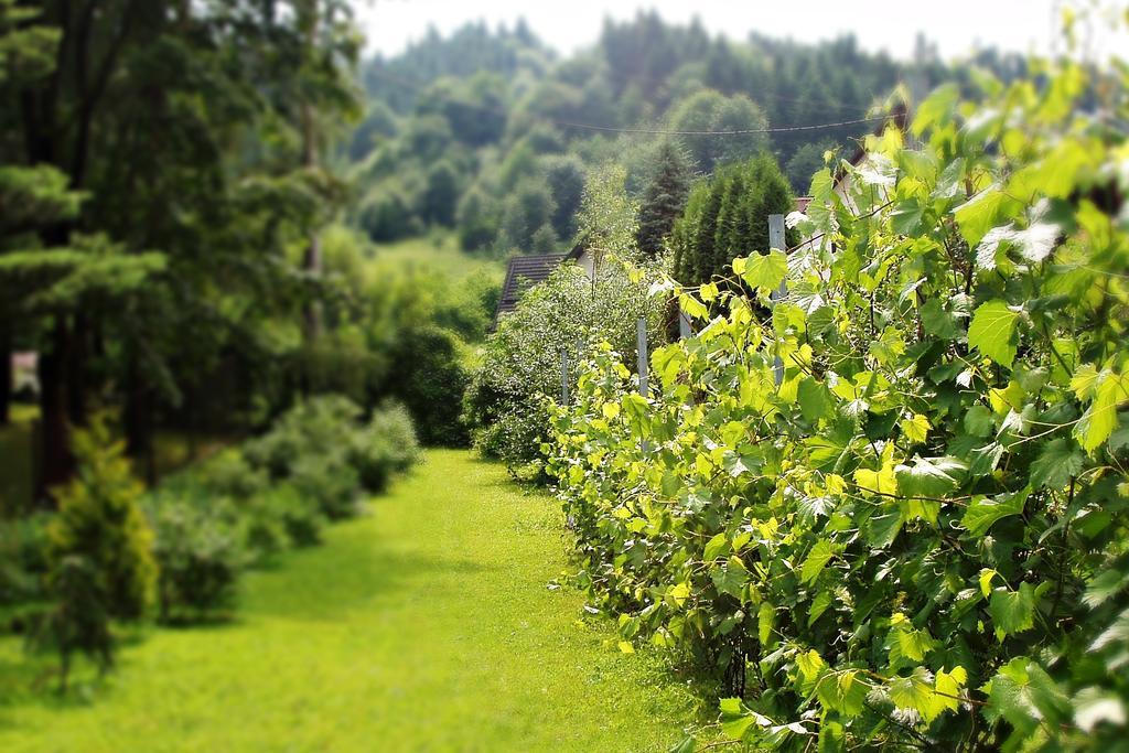 Villa Hasaba Krościenko Esterno foto